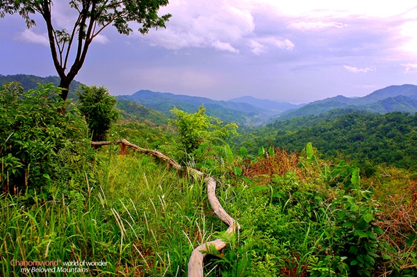 กำแพงเพชร เที่ยวเมืองโบราณ สัมผัสธรรมชาติและสายหมอก ณ เมืองกำแพงเพชร