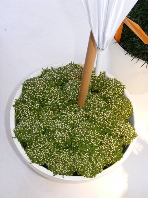 ราวแขวนทรงกิ่งไม้ เปลี่ยนบ้านให้สดชื่น