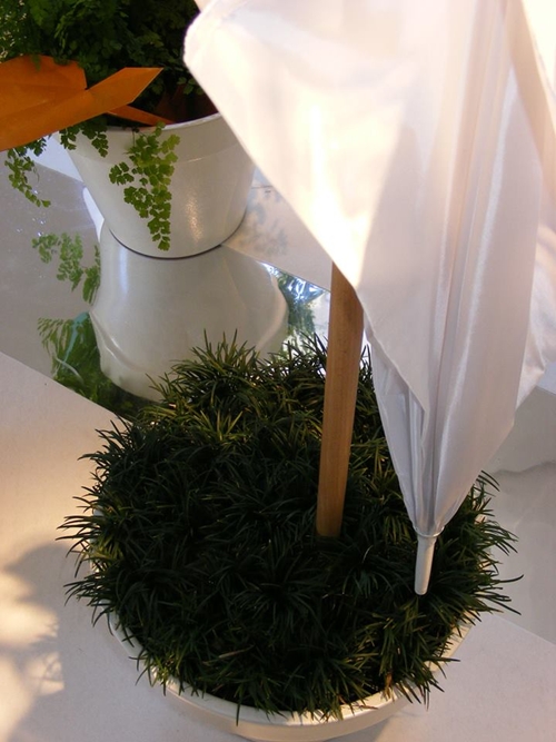 ราวแขวนทรงกิ่งไม้ เปลี่ยนบ้านให้สดชื่น