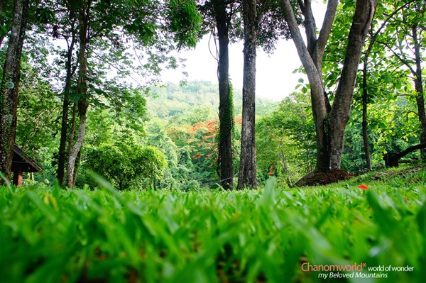 กำแพงเพชร เที่ยวเมืองโบราณ สัมผัสธรรมชาติและสายหมอก ณ เมืองกำแพงเพชร