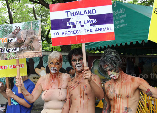 คนรักสัตว์ประท้วง ให้ออกกฎหมายคุ้มครองสัตว์ 