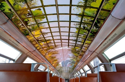 หรู! ฝรั่งเศสแปลงโฉมรถไฟฟ้า เป็นพระราชวังแวร์ซายส์