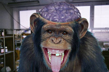 5 เมนูอันตรายที่สุดในโลกที่คุณอาจไม่รู้