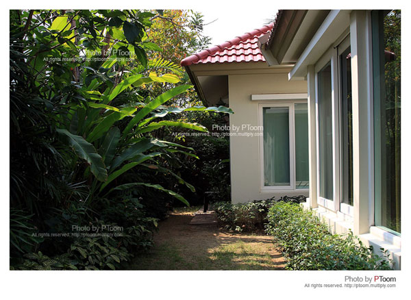 จัดสวน