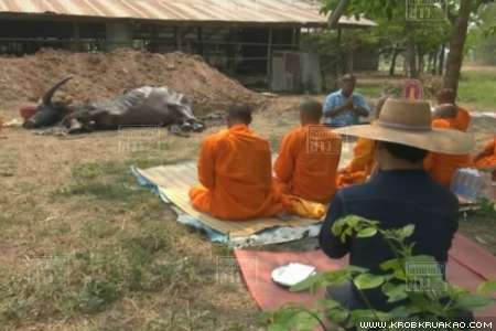 เจ้าทองสุข