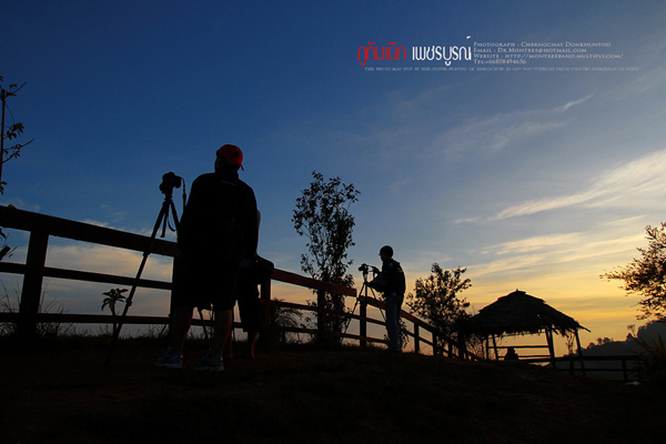 ภูทับเบิก-ภูหินร่องกล้า