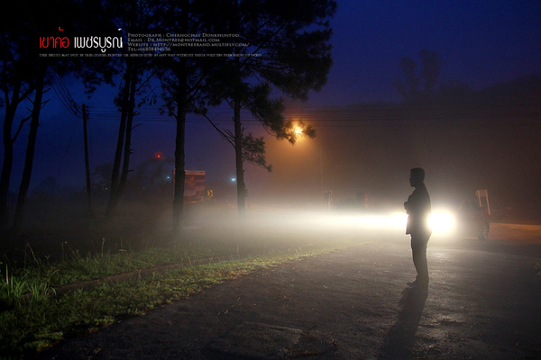 ภูทับเบิก-ภูหินร่องกล้า