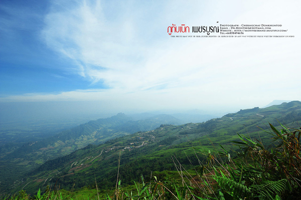 ภูทับเบิก-ภูหินร่องกล้า