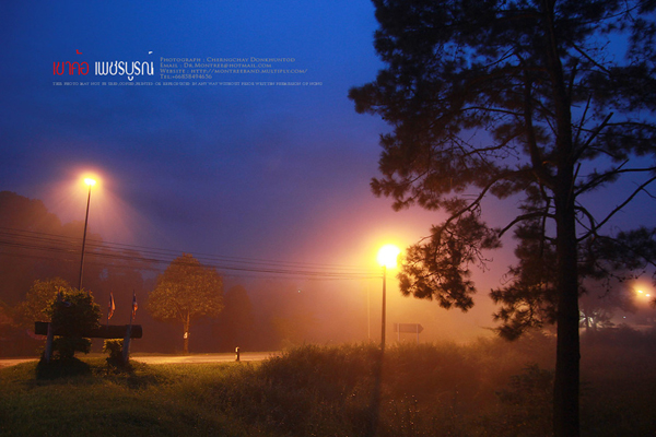 ภูทับเบิก-ภูหินร่องกล้า