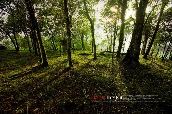 ภูทับเบิก-ภูหินร่องกล้า