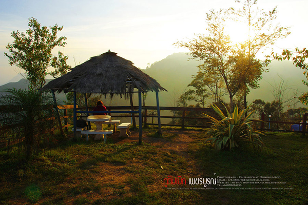 ภูทับเบิก-ภูหินร่องกล้า