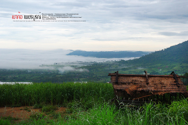 ภูทับเบิก-ภูหินร่องกล้า