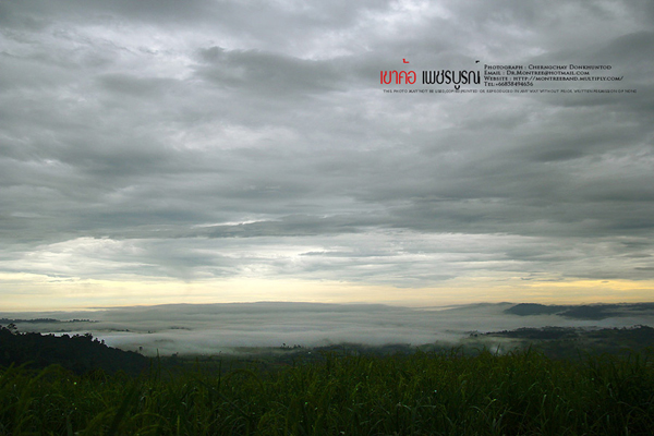 ภูทับเบิก-ภูหินร่องกล้า