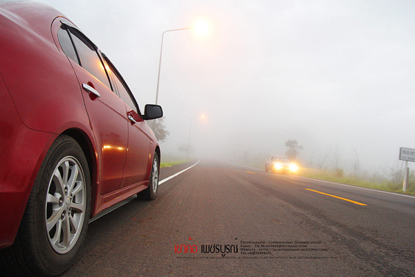 ภูทับเบิก-ภูหินร่องกล้า