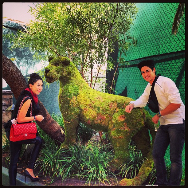 ไฮโซน้ำหวาน พันธุ์คงชื่น