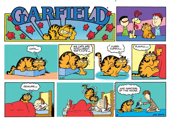 การ์ฟีลด์ (Garfield)