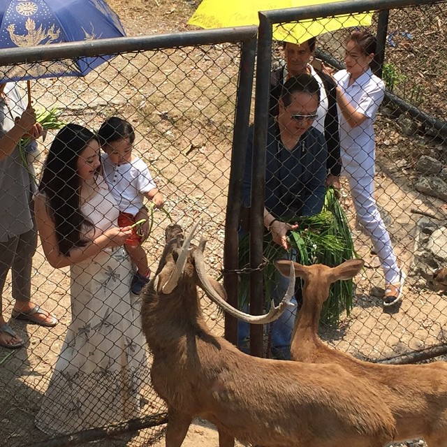 ตั๊ก บงกช เจ้าสัวบุญชัย