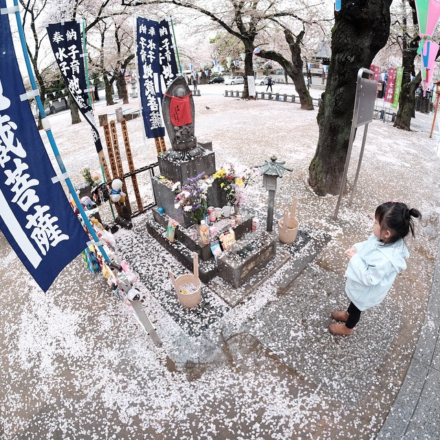 บอย ปกรณ์ น้องวันใหม่ ยกครอบครัวตะลุยเที่ยวลั้ลลาที่ญี่ปุ่น