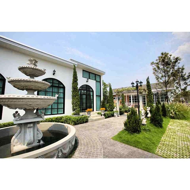 ใหม่ ดาวิกา นางเอกพันล้าน เปิดคาเฟ่สุดเก๋ Misstar Cafe