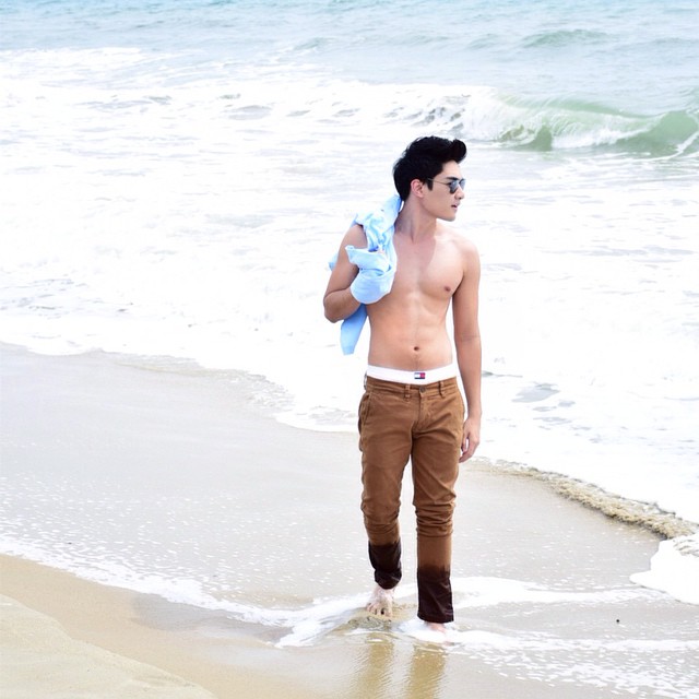  สิงโต The Star