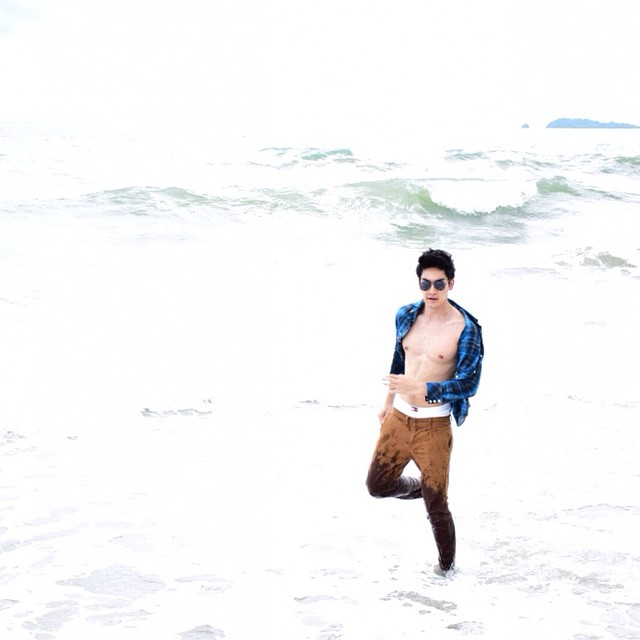  สิงโต The Star