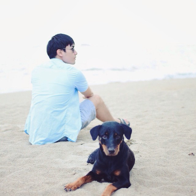  สิงโต The Star