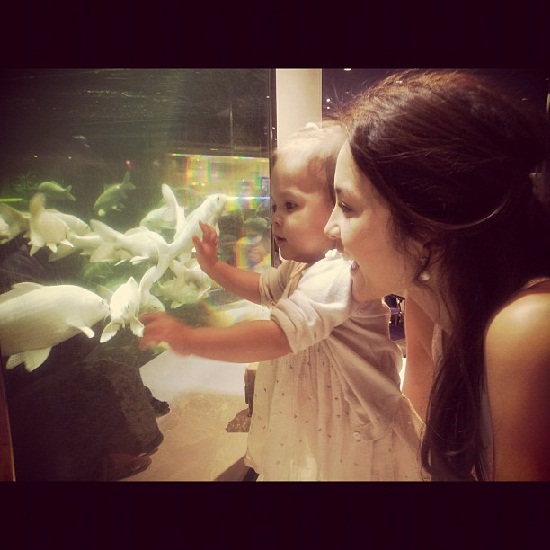 พอลล่า  น้องไลลา