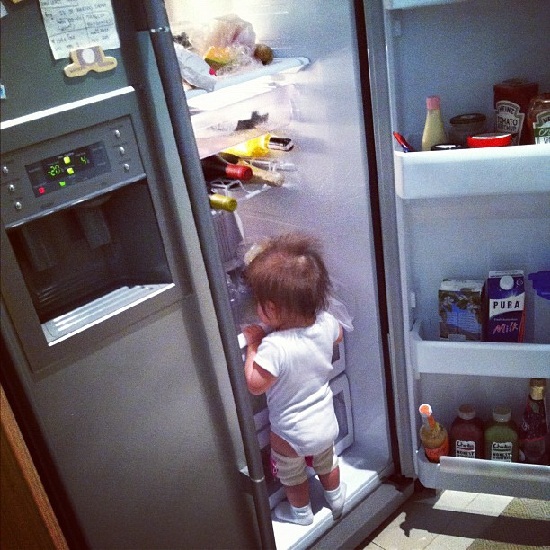 พอลล่า  น้องไลลา  