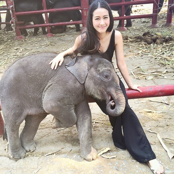 โม อมีนา ทั้งสวยทั้งใจดี รับอุปการะลูกช้างอยุธยา 