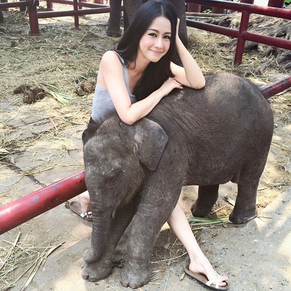 โม อมีนา ทั้งสวยทั้งใจดี รับอุปการะลูกช้างอยุธยา