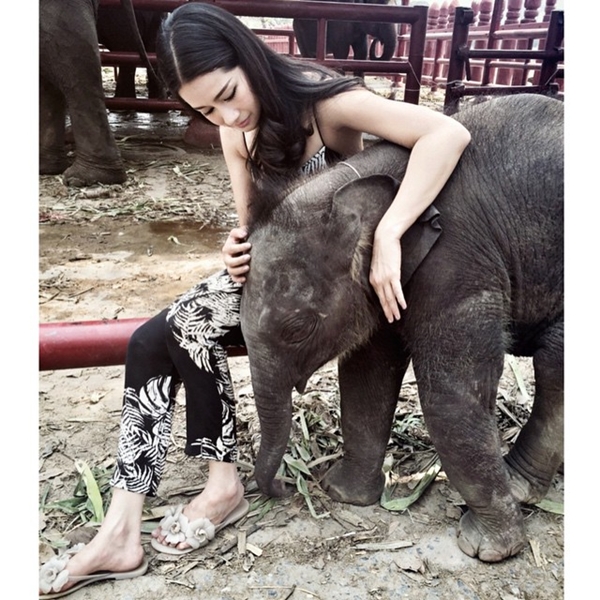 โม อมีนา ทั้งสวยทั้งใจดี รับอุปการะลูกช้างอยุธยา โม อมีนา ทั้งสวยทั้งใจดี รับอุปการะลูกช้างอยุธยา 