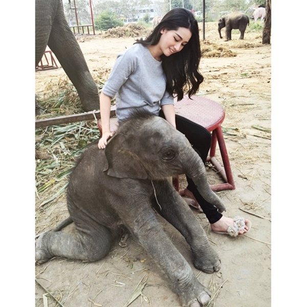 โม อมีนา ทั้งสวยทั้งใจดี รับอุปการะลูกช้างอยุธยา