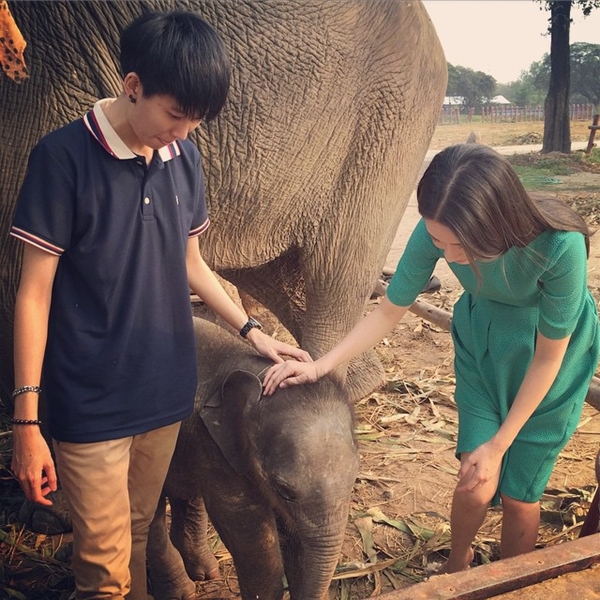 โม อมีนา ทั้งสวยทั้งใจดี รับอุปการะลูกช้างอยุธยา