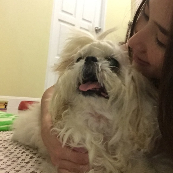 อั้ม พัชราภา เศร้าหนัก สุนัขที่รักตาย อาลัย 17 ปีที่อยู่ร่วมกันมา...