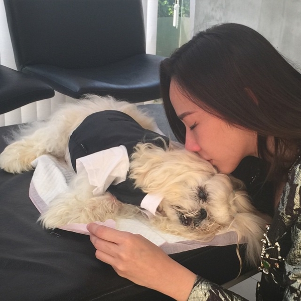 อั้ม พัชราภา เศร้าหนัก สุนัขที่รักตาย อาลัย 17 ปีที่อยู่ร่วมกันมา...