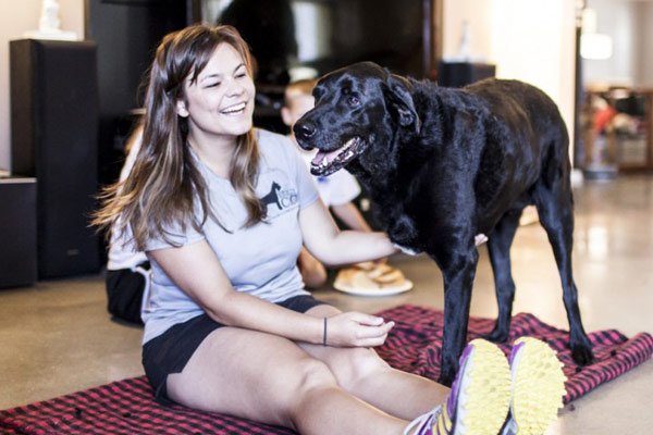 เผยภาพชีวิตวันสุดท้ายที่แสนสุขของสุนัขป่วยมะเร็ง ก่อนถูกการุณยฆาต