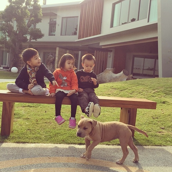 อัพเดทความน่ารัก น้องชิโน่ ชิลี่ ชีต้า ลูกคุณแม่ พลอย ชิดจันทร์