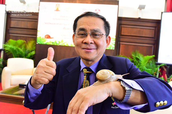 นักวิจัยจุฬาฯ พบเมือกหอยทากไทย ทำเครื่องสำอางได้ดีเยี่ยม