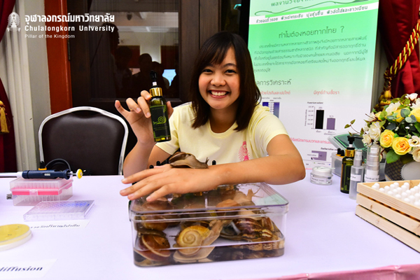 นักวิจัยจุฬาฯ พบเมือกหอยทากไทย ทำเครื่องสำอางได้ดีเยี่ยม