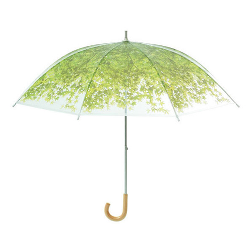 ร่มแฟชั่น