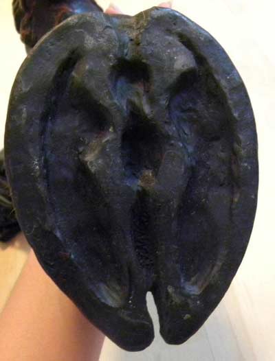 รองเท้าบูทยูนิคอร์น