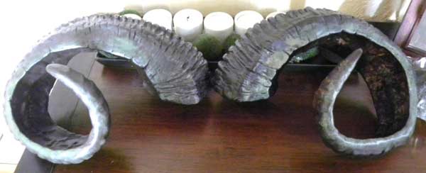 รองเท้าบูทยูนิคอร์น