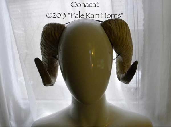 รองเท้าบูทยูนิคอร์น