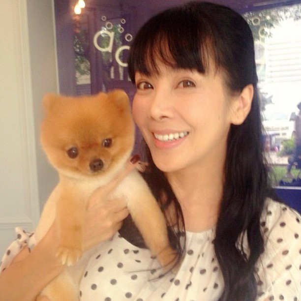 ผมม้าดารา