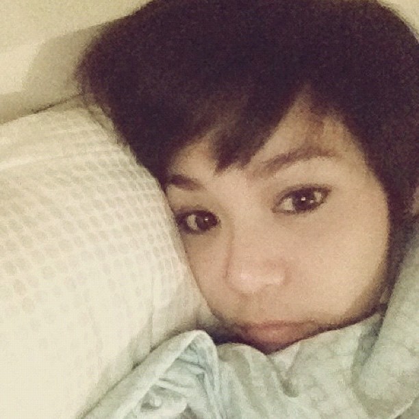 ผมม้าดารา