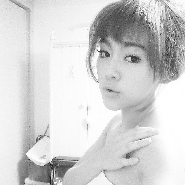 ผมม้าดารา