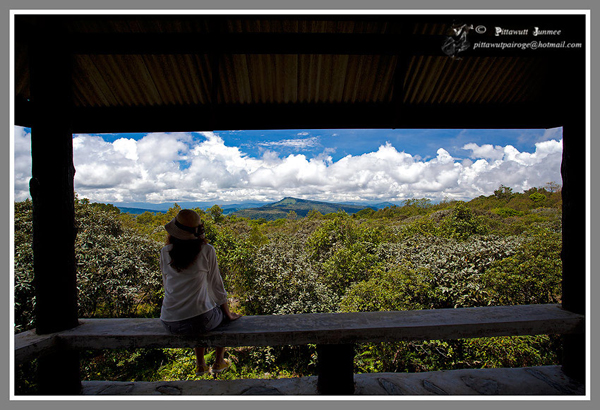 ภูทับเบิก