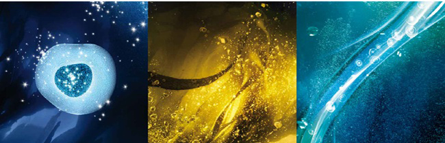 BIOTHERM SERUM-IN-OIL