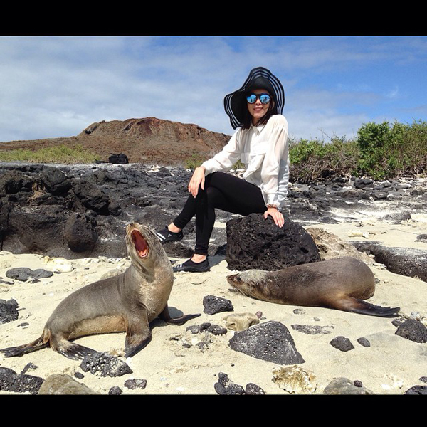 คริส หอวัง 