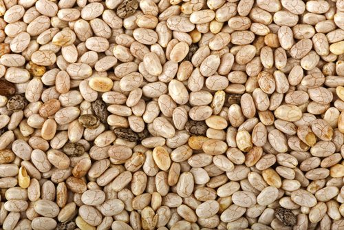 เมล็ดเจีย 